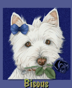 gif bisous petit chien